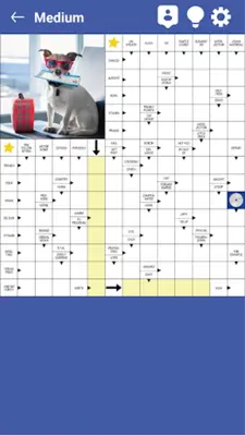 Your daily crossword puzzles android App screenshot 15